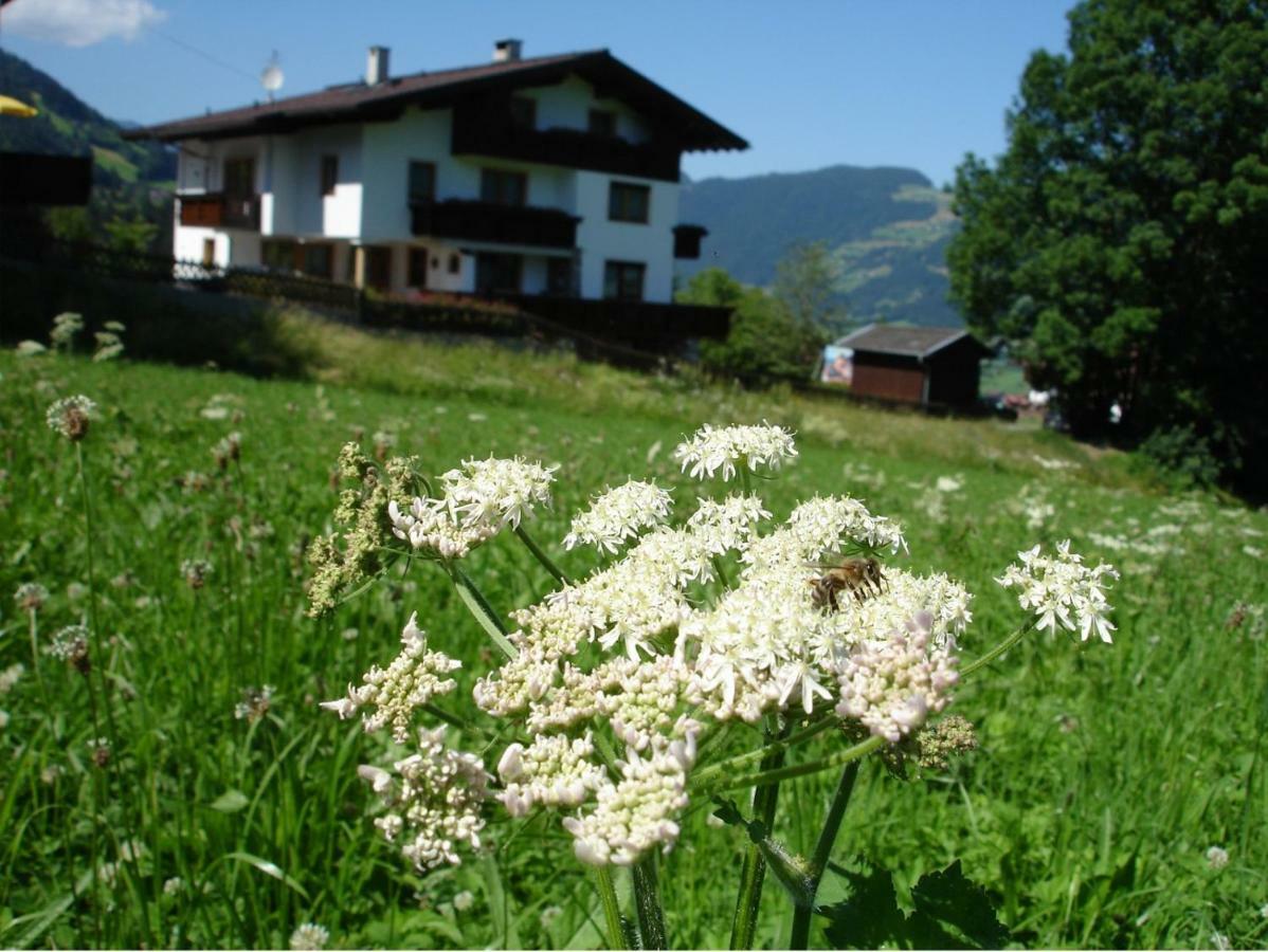 Appartement Hollaus Fügen Exteriör bild